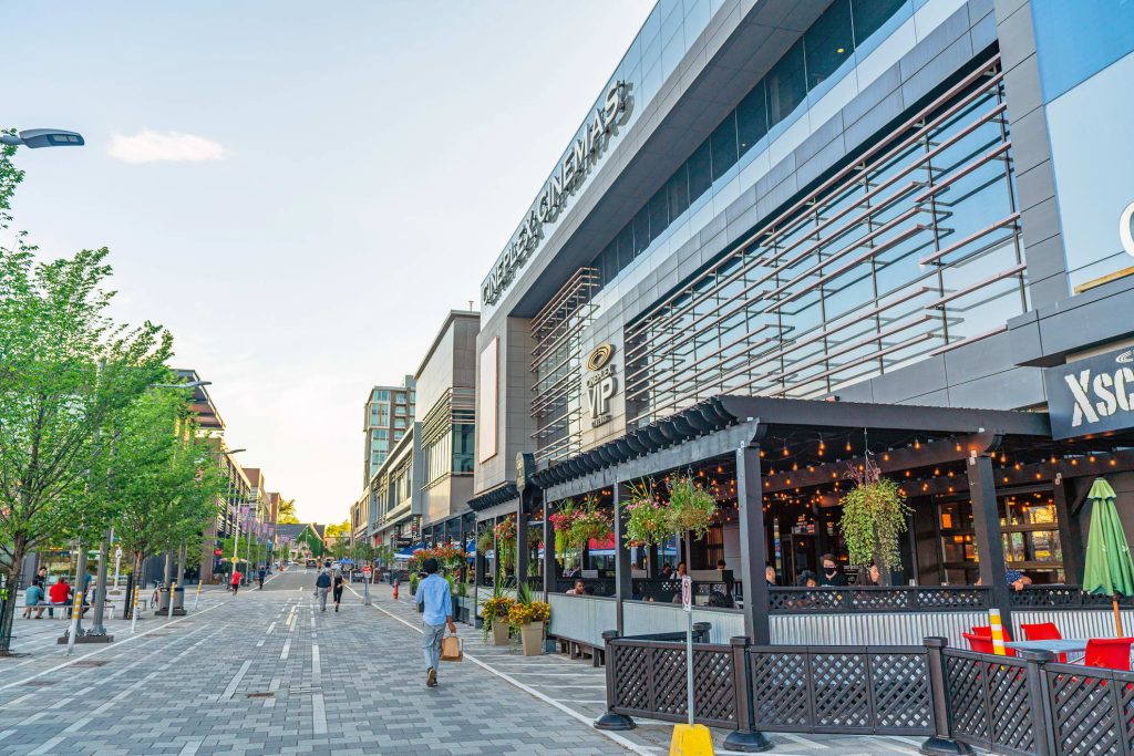 Lansdowne Live Gallery